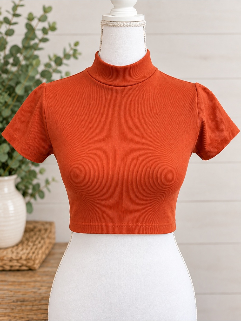 Chelsea & Violet Ribbed Mock Neck Crop Top - Rust